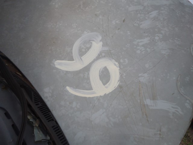 I/FIAT/SIENA FIRE FLEX