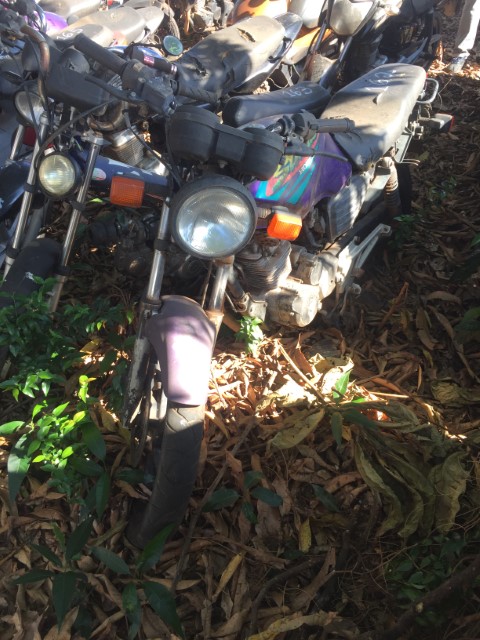 HONDA/CBX 200 STRADA