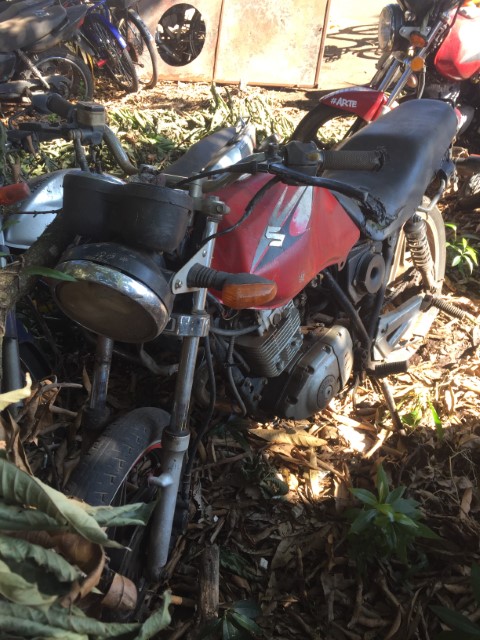 SUZUKI/SUZUKI EN125 YES